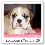 Luvipride Lifestyle_29