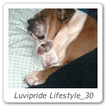 Luvipride Lifestyle_30