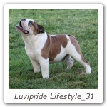 Luvipride Lifestyle_31