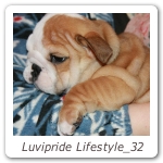 Luvipride Lifestyle_32