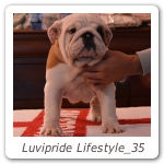 Luvipride Lifestyle_35
