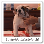 Luvipride Lifestyle_36