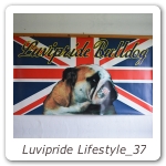 Luvipride Lifestyle_37