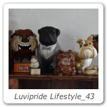 Luvipride Lifestyle_43