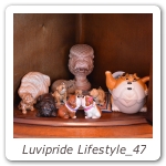 Luvipride Lifestyle_47