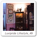 Luvipride Lifestyle_49