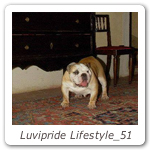 Luvipride Lifestyle_51