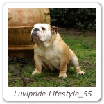 Luvipride Lifestyle_55