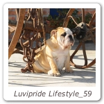 Luvipride Lifestyle_59