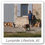 Luvipride Lifestyle_61
