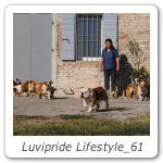Luvipride Lifestyle_61