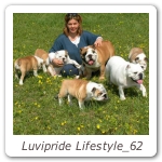 Luvipride Lifestyle_62