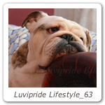 Luvipride Lifestyle_63
