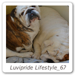 Luvipride Lifestyle_67