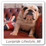 Luvipride Lifestyle_68