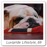 Luvipride Lifestyle_69