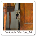 Luvipride Lifestyle_70