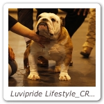 Luvipride Lifestyle_CRUFTS_2013_06
