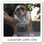 Luvipride Little One