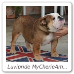Luvipride MyCherieAmour 01
