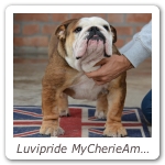Luvipride MyCherieAmour 02