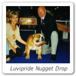 Luvipride Nugget Drop