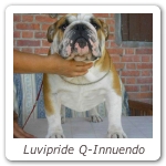 Luvipride Q-Innuendo