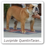Luvipride QuentinTarantino 01