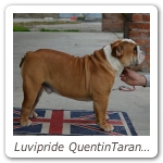 Luvipride QuentinTarantino 03