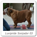 Luvipride Sonjador 03