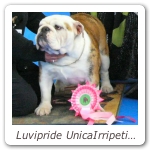 Luvipride UnicaIrripetibile - Bra 2008 BOS