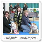 Luvipride UnicaIrripetibile_Luvipride Kourouss