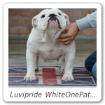 Luvipride WhiteOnePatch 03