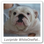 Luvipride WhiteOnePatch 04