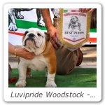 Luvipride Woodstock - Best Puppy Raduno Primavera