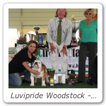 Luvipride Woodstock - Camp_Sociale 2011