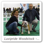 Luvipride Woodstock - Internazionale Varese BOB