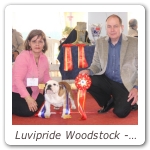 Luvipride Woodstock - Raduno Parma 2011 - Best Puppy