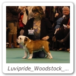 Luvipride_Woodstock_CRUFTS_2013_09