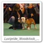 Luvipride_Woodstock_CRUFTS_2013_10