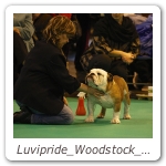 Luvipride_Woodstock_CRUFTS_2013_11