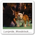 Luvipride_Woodstock_CRUFTS_2013_12