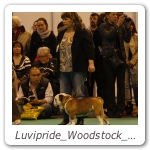 Luvipride_Woodstock_CRUFTS_2013_13