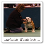 Luvipride_Woodstock_CRUFTS_2013_14