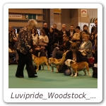 Luvipride_Woodstock_CRUFTS_2013_15