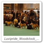 Luvipride_Woodstock_CRUFTS_2013_16