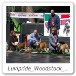 Luvipride_Woodstock_Raduno_Primavera_2012_03