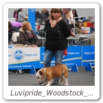 Luvipride_Woodstock_Speciale_Reggio_Emilia_2013_