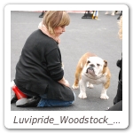 Luvipride_Woodstock_Speciale_Reggio_Emilia_2013_1