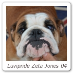 Luvipride Zeta Jones 04